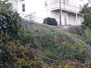 Photo showing protective netting over partial wall collapse and vegetation at Belgrave Road, Ventnor August 2020