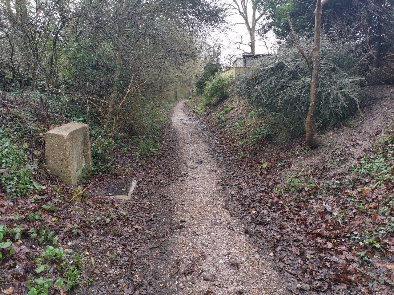 narrow roughly surfaced cycle track bordered by hedges and trees