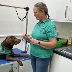 Ability dog and trainer in new dog kitchen area