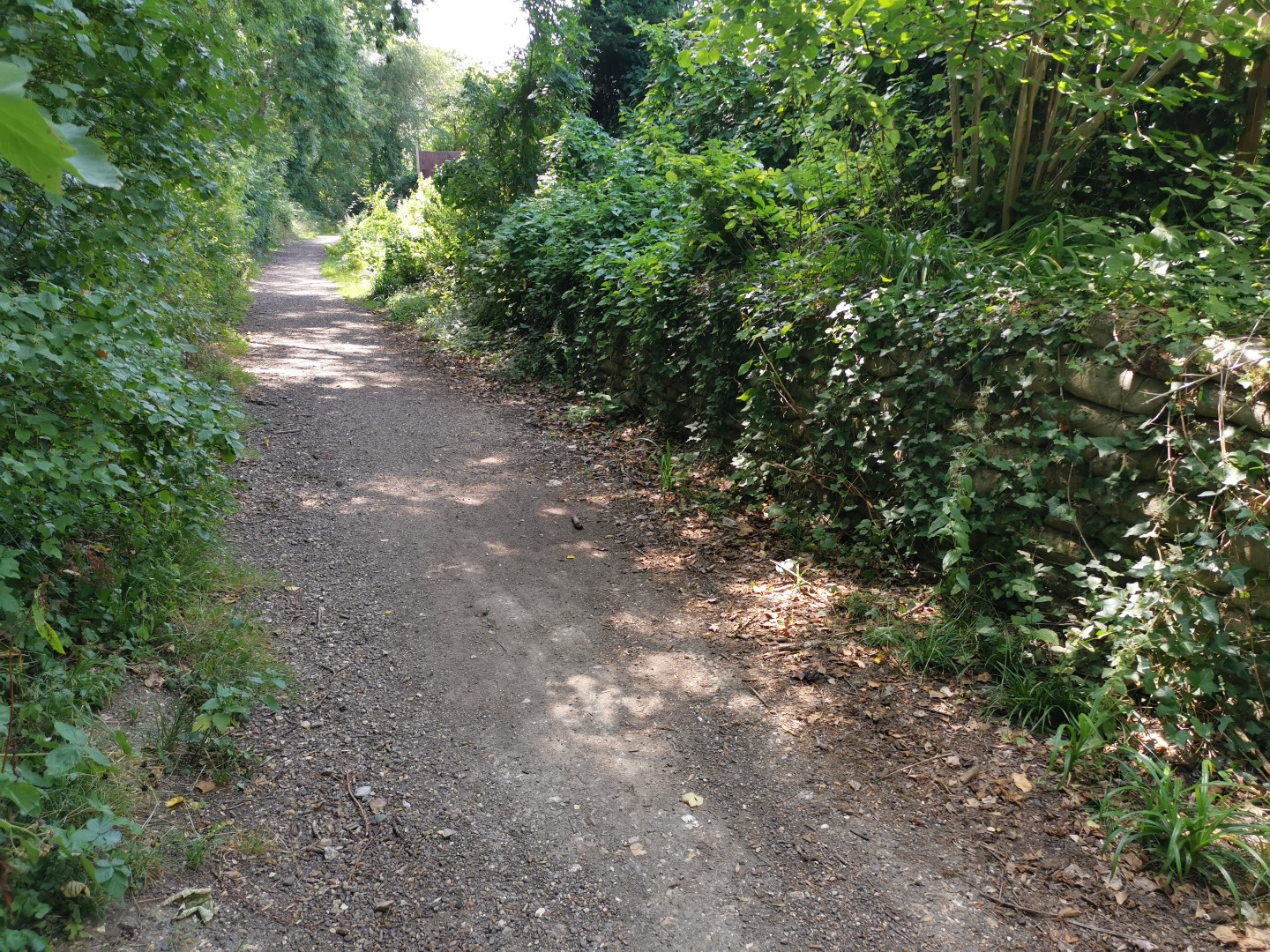 rough gravelly cycle track bordered by overgrown hedges on either side