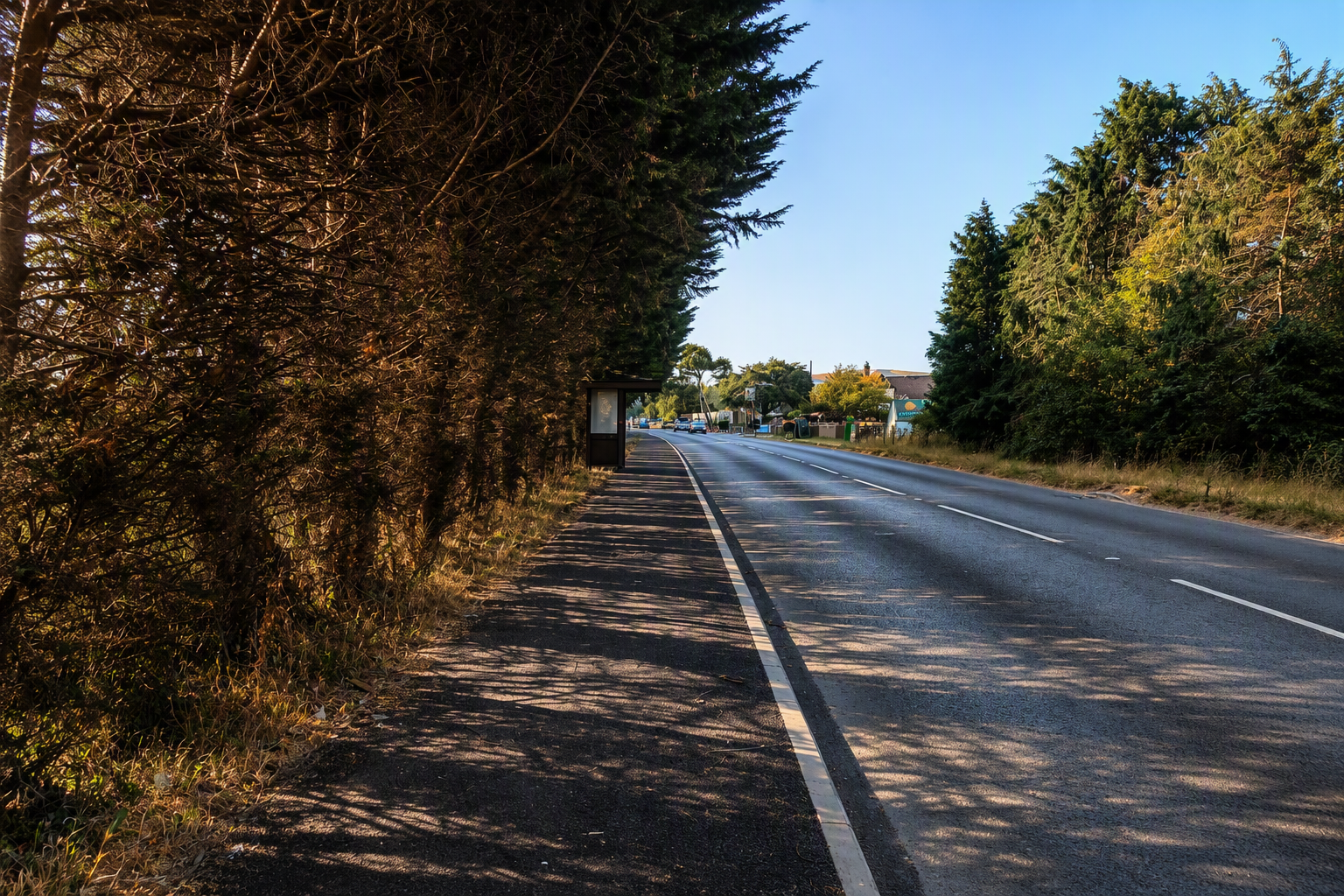 Island Roads annual customer survey launches 